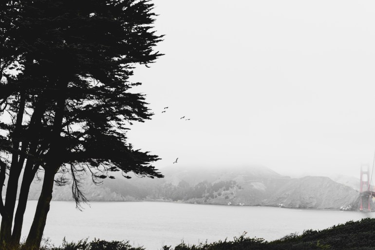 180906_San Francisco-14