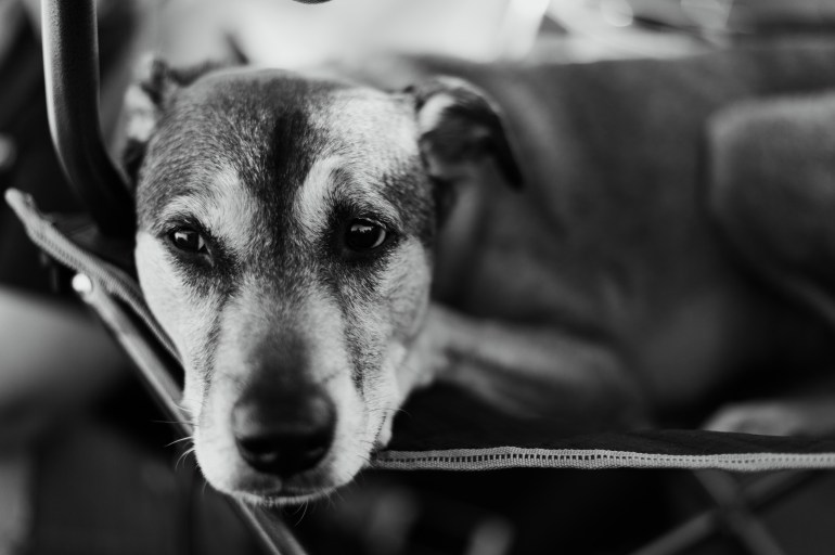 180909_Leia_Vasquez Rocks-22