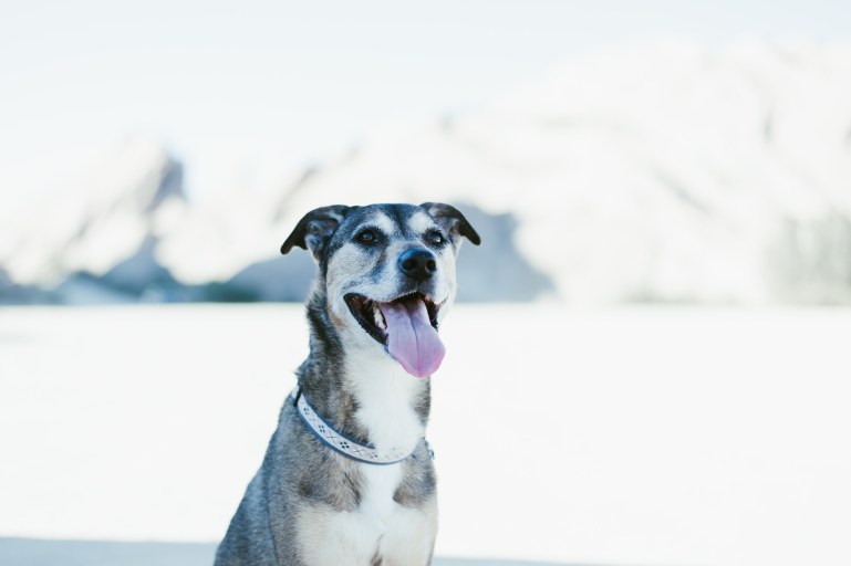 180909_Leia_Vasquez Rocks-4